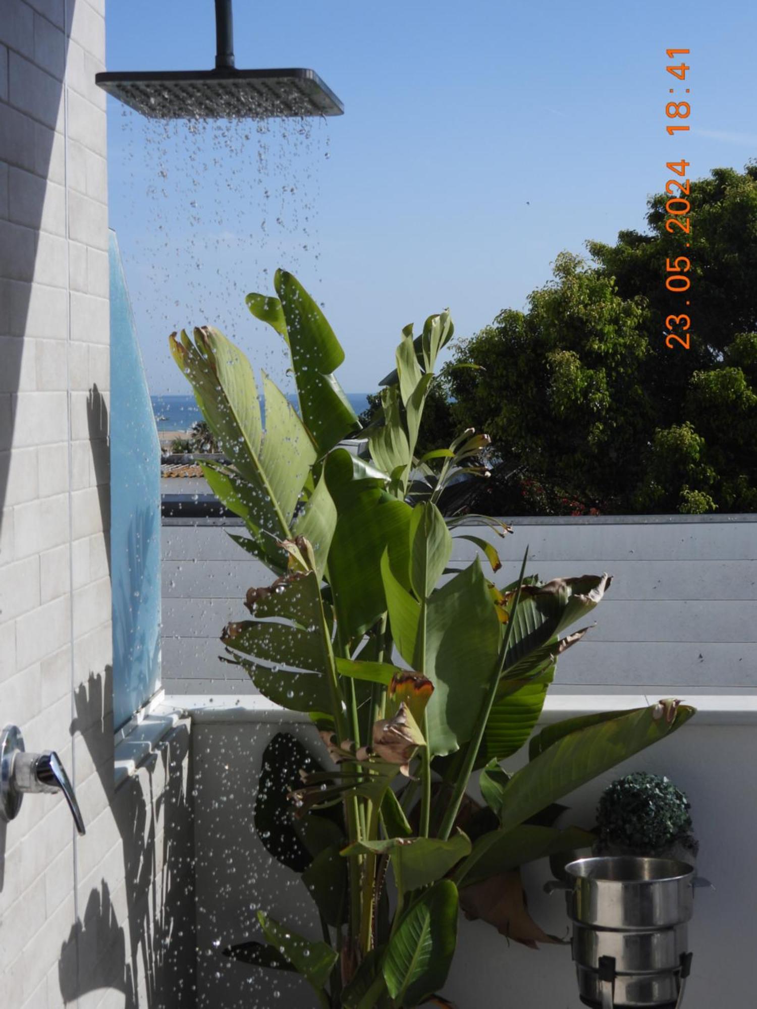Апартаменти Aba Penthouse, Piscina&Azotea Privada Коніль-де-ла-Фронтера Екстер'єр фото